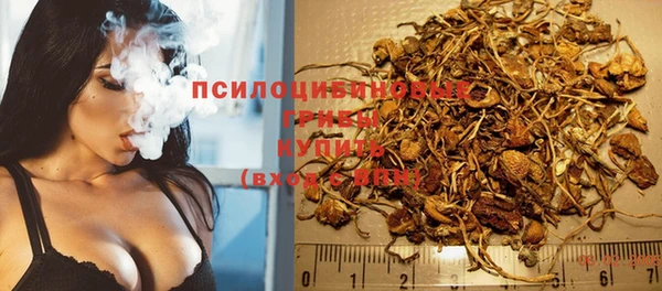 mdpv Кинешма